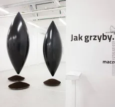 „Jak grzyby…” — obiekty, przestrzeń i wyobraźnia