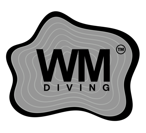 WM Diving
